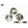 Hex Nut/Hex Head Nut/Bolt and Nut