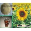 calcium-amino aicd chelation for organic fertilizer