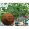 Iron-amino acid chelation for organic fertilizer