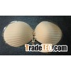 shell shape bra