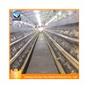 poultry layer farming equipment layer chicken battery cages