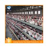 uae chicken farm building poultry layer equipment for sale
